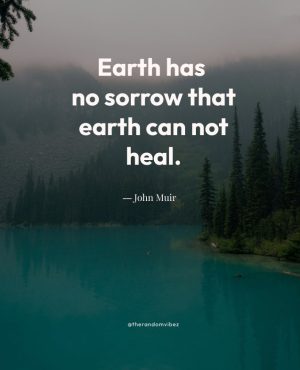 john muir quotes nature