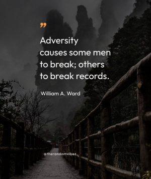 overcoming adversity quotes