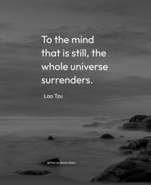 quotes about stillness