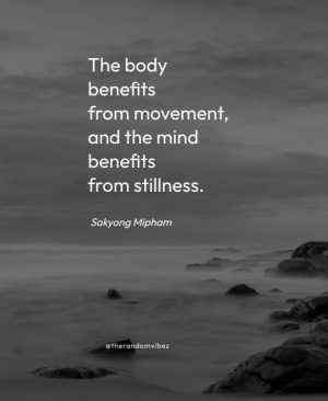 quotes on stillness of mind