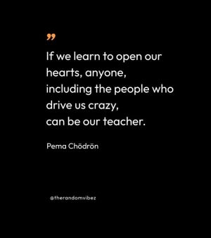 Famous Pema Chödrön Quotes