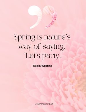 Funny Spring Quotes