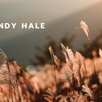 Mandy Hale Quotes Celebrating Singlehood