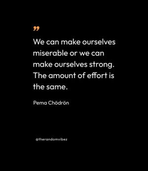 Pema Chodron Sayings