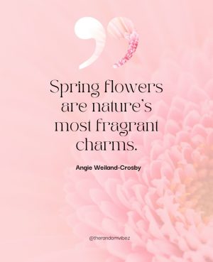 Spring Quote