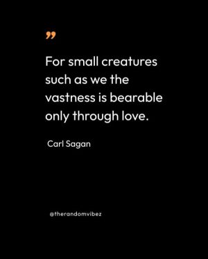 carl sagan quotes love