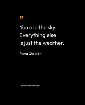 pema chodron quotes