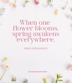 quotes about spring
