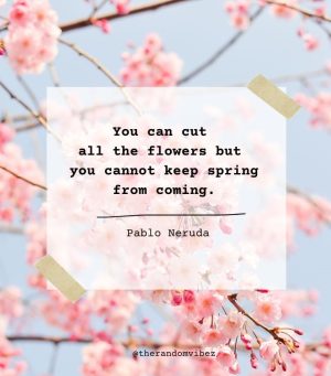 quotes for spring