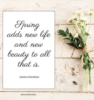 spring time quotes