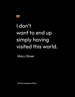 Best Mary Oliver Quotes