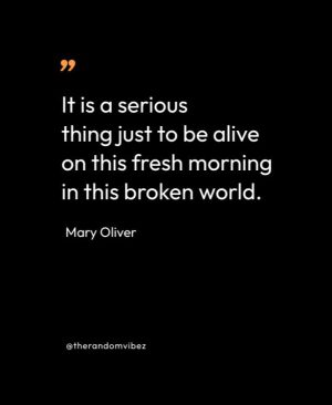 Mary Oliver Gratitude Quotes
