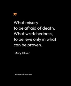Mary Oliver Poems