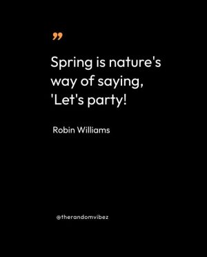 Robin Williams Quotes Funny