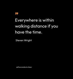 Steven Wright Quotes