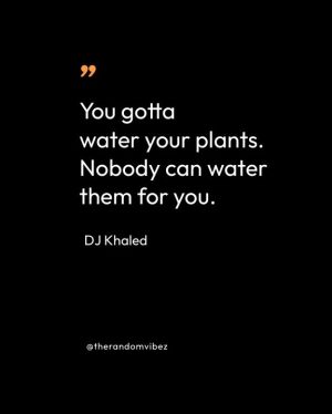 dj khaled quotes famous