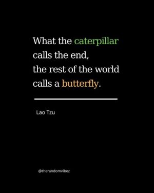 best caterpillar quotes