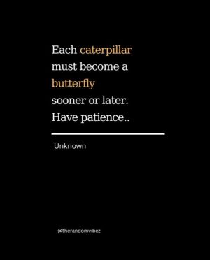 caterpillar and butterfly quote