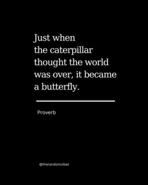 caterpillar quote
