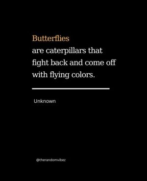 caterpillar quotes short