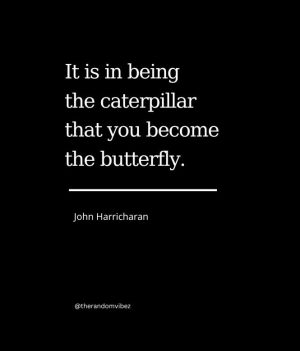 meaningful caterpillar quotes