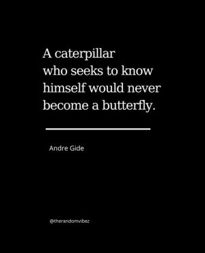 quote caterpillar