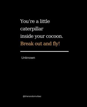 quotes about caterpillar