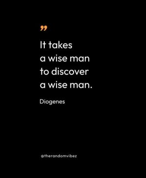 Diogenes Quotes