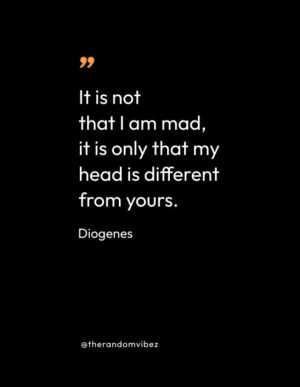 Quotes From Diogenes