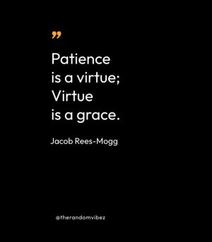 patience is a virtue quote