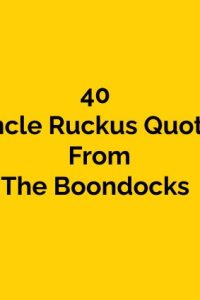 40 Uncle Ruckus Quotes From The Boondocks