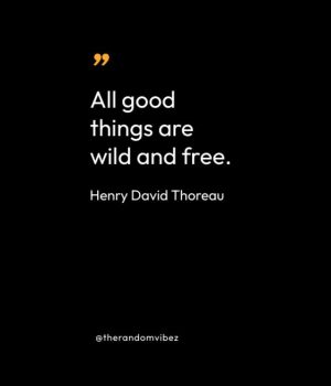 Henry David Thoreau Quotes On Nature