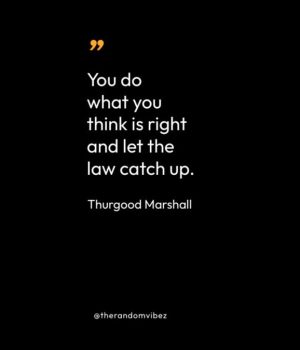 Quotes By Thurgood Marshall