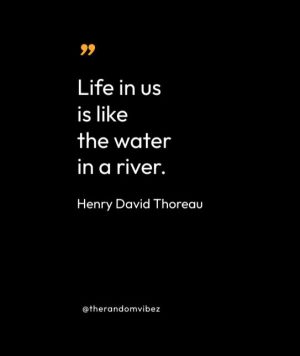 Quotes Of Henry David Thoreau 