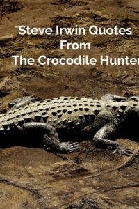 55 Steve Irwin Quotes From The Crocodile Hunter