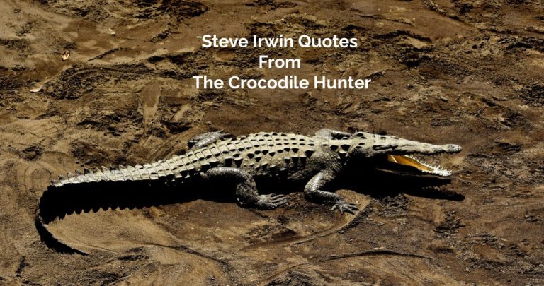 55 Steve Irwin Quotes From The Crocodile Hunter