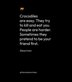Best Steve Irwin Quotes