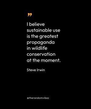 Famous Steve Irwin Quotes