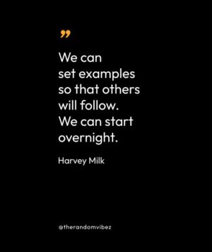 Inspiring Harvey Milk Quotes