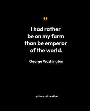Quotations Of George Washington