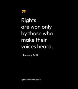Quotes By Harvey Milk
