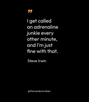 Quotes By Steve Irwin
