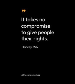 Quotes From Harvey Milk 