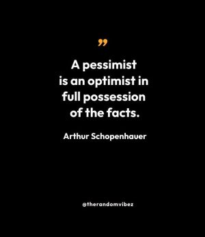 Schopenhauer Quotes