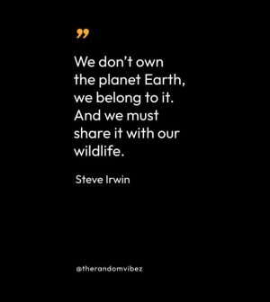 Steve Irwin Sayings