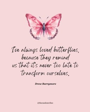 butterfly quote