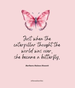 butterfly quotes