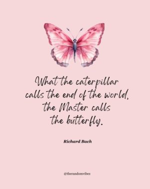 butterfly quotes inspirational