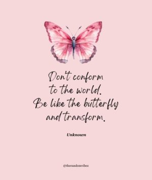 butterfly sayings