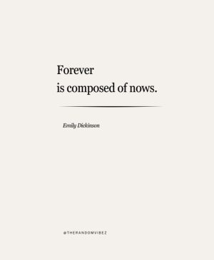 emily dickinson quotes